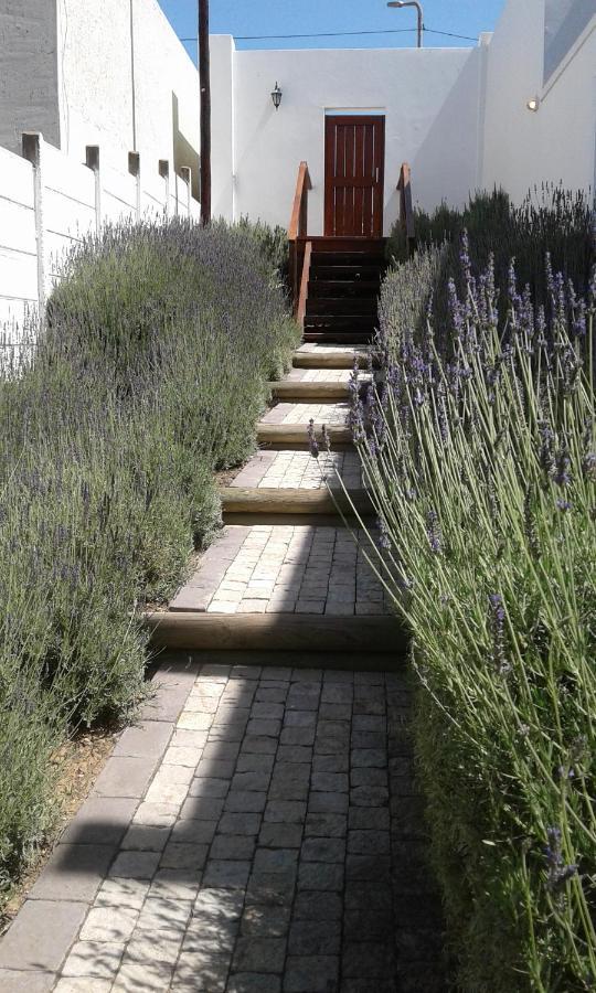 Lavandula Manor Self-Catering มอสเซิลเบย์ ภายนอก รูปภาพ